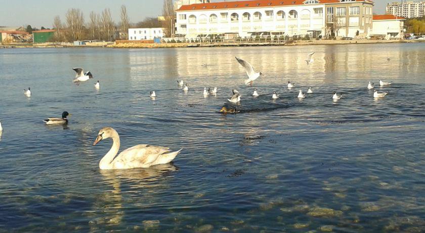 Гостиница Sevastopol Apartments (House near Greek Hora) Севастополь-33